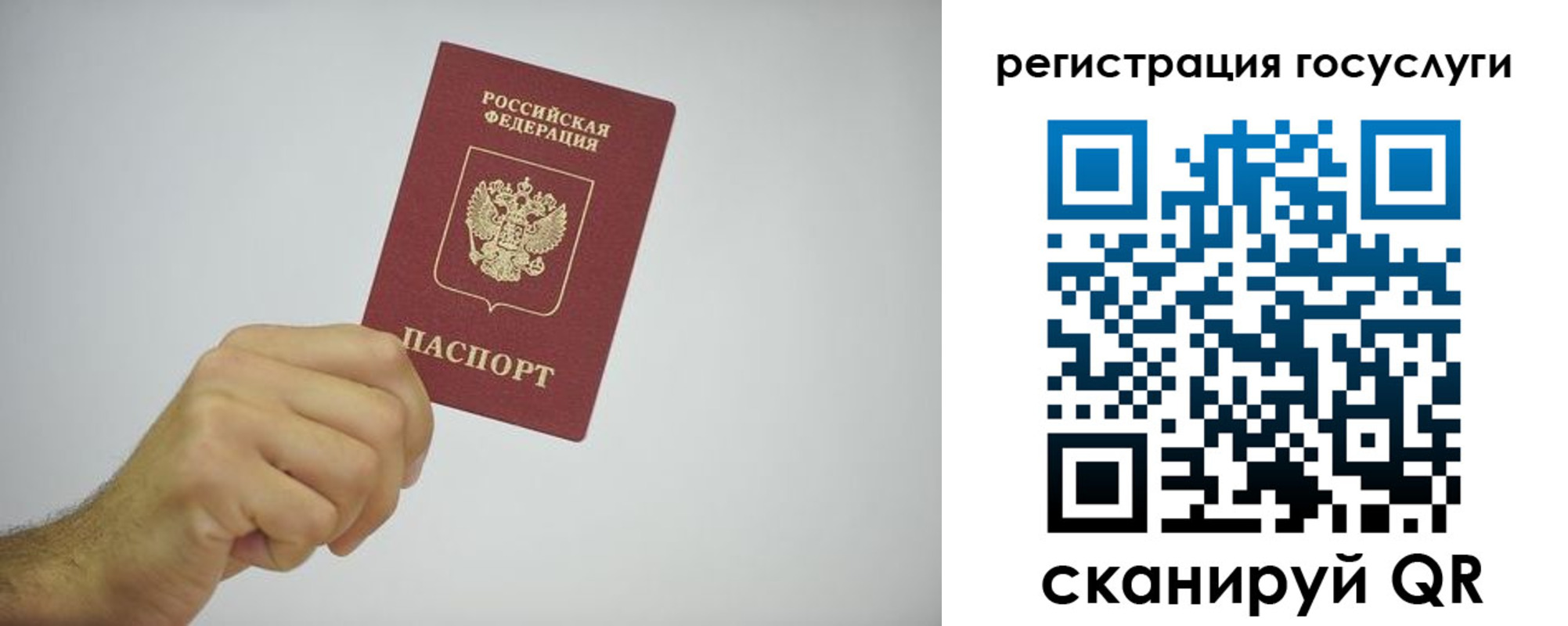 временная регистрация гарантия в Борзе